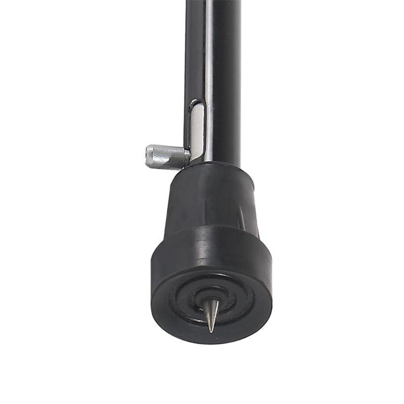 Cane with Ice Tip